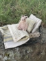 Picture of Darling Verde - Widdershin Wee Bed...for Petite Blythe & Teddy Friends