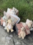 Picture of Naptime Darlingness - Widdershin Wee Bed...for Petite Blythe & Teddy Friends  