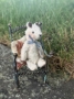 Picture of Tiny Ted Toddy - 2.75" ooak by Widdershin Bears