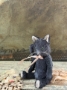 Picture of Orpheum - 4" ooak Black Cat by Widdershin Bears 