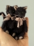 Picture of Clarion - 4" Black MOHAIR KITTY  by Widdershin Bears  